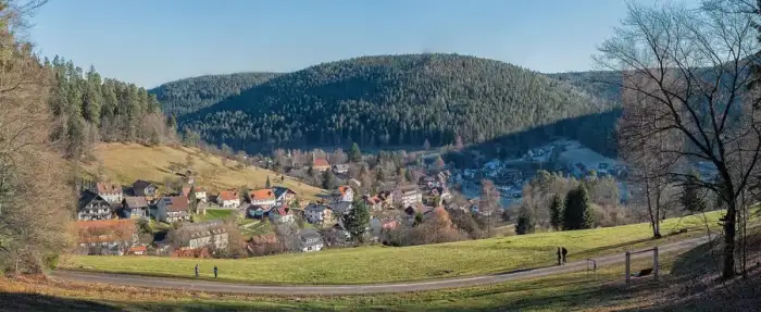 Enzklösterle, Ausschnitt