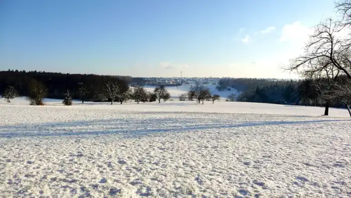 Neulingen, Ausschnitt